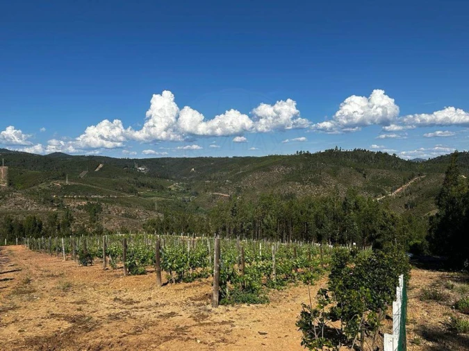 Terreno para Venda em Vila de Rei Foto 7