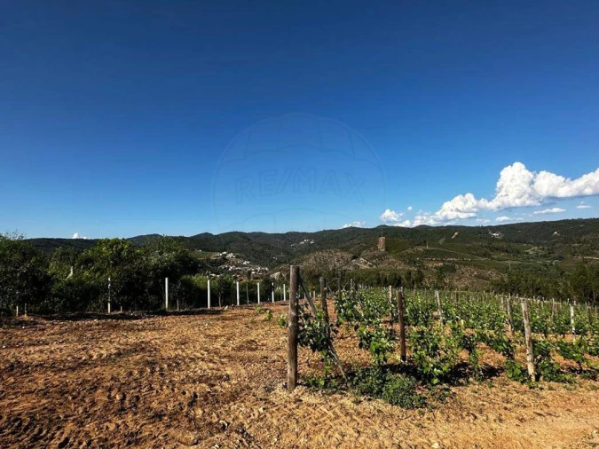 Terreno para Venda em Vila de Rei Foto 17