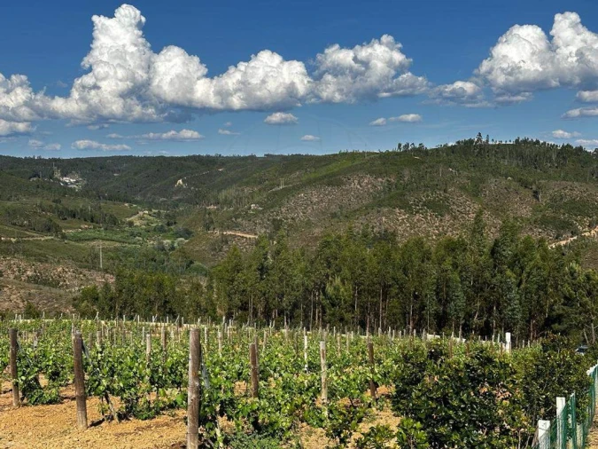 Terreno para Venda em Vila de Rei Foto 10