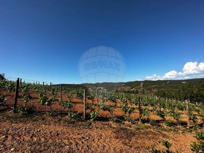 Terreno para Venda em Vila de Rei Foto 15