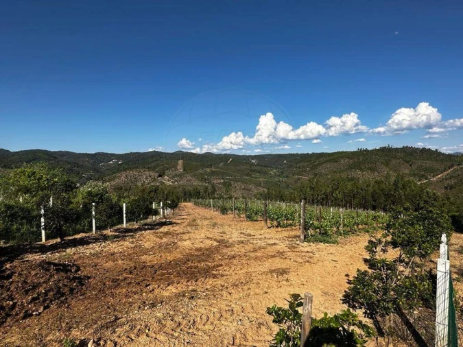 Terreno para Venda em Vila de Rei Foto 6
