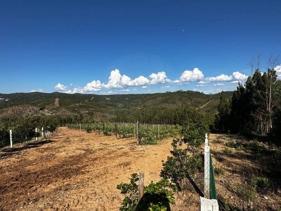 Terreno para Venda em Vila de Rei Foto 5