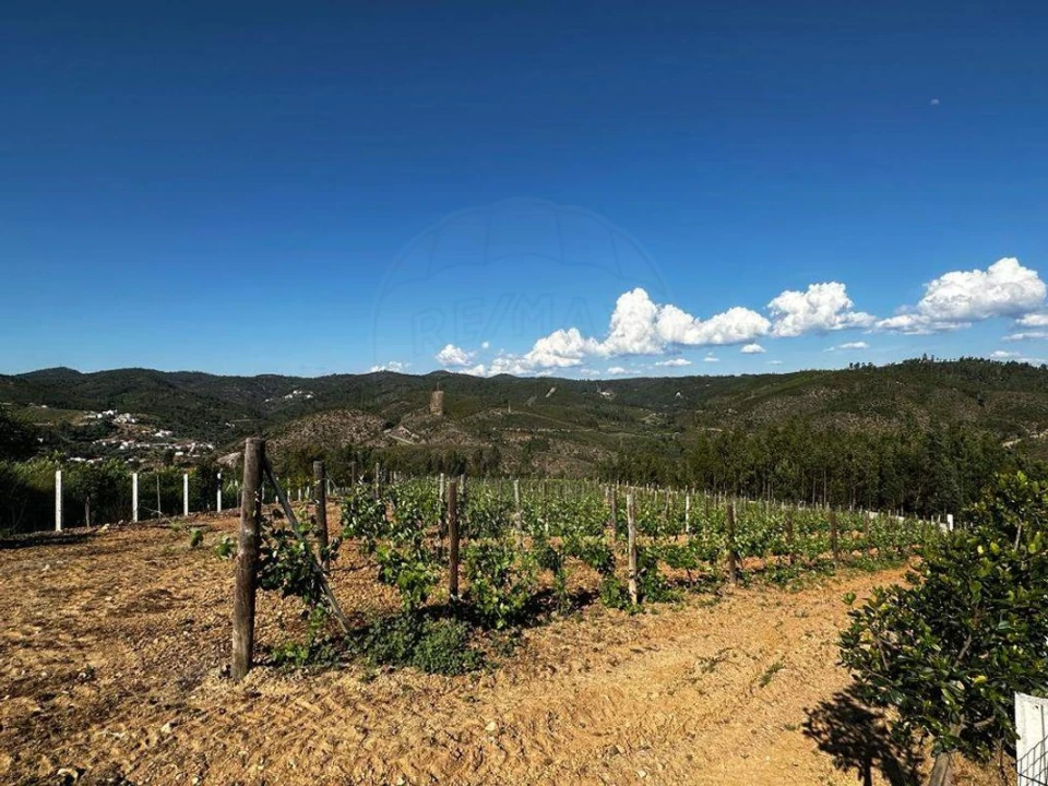 Terreno para Venda em Vila de Rei Foto 16