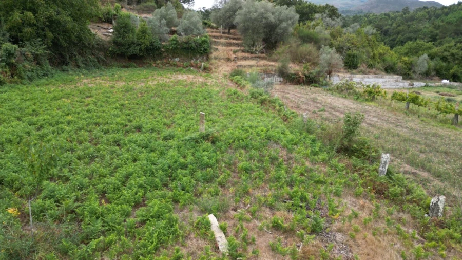 Terreno para Venda em Gondomil e Sanfins Foto 3
