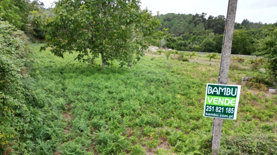 Terreno para Venda em Gondomil e Sanfins Foto 5