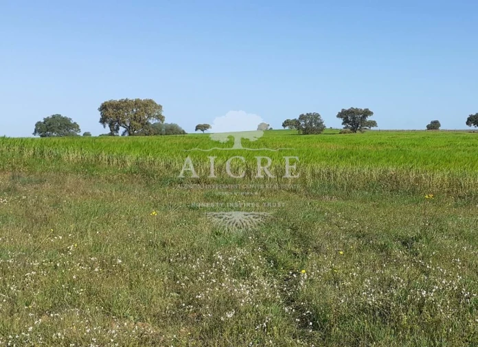 Terreno para Venda em Ferreira do Alentejo e Canhestros Foto 2