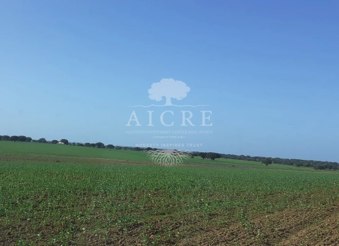 Terreno para Venda em Ferreira do Alentejo e Canhestros Foto 13