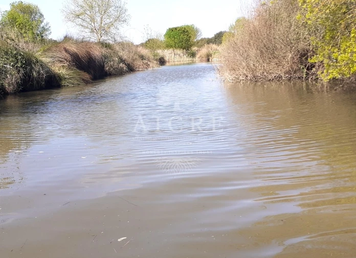 Terreno para Venda em Ferreira do Alentejo e Canhestros Foto 9