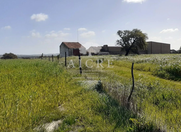 Terreno para Venda em Ferreira do Alentejo e Canhestros Foto 8