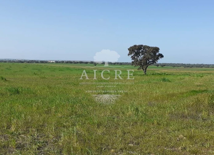 Terreno para Venda em Ferreira do Alentejo e Canhestros Foto 14