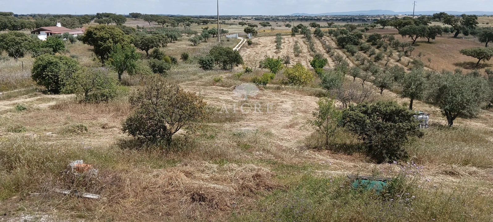 Quinta T5 para Venda em Capelins (Santo Antonio) Foto 5