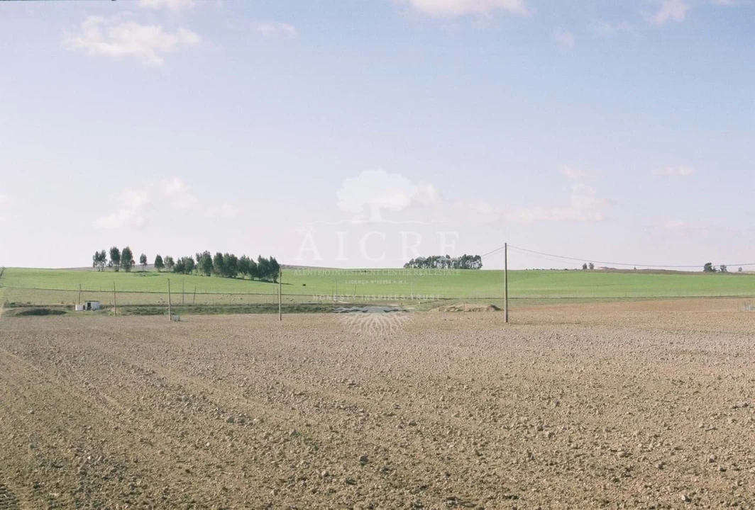 Quinta T3 para Venda em Aljustrel e Rio de Moinhos Foto 11