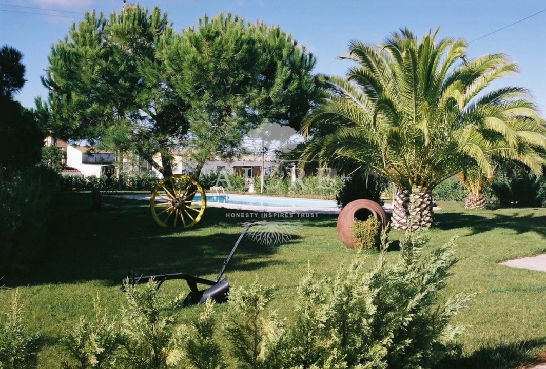 Quinta T3 para Venda em Aljustrel e Rio de Moinhos Foto 12