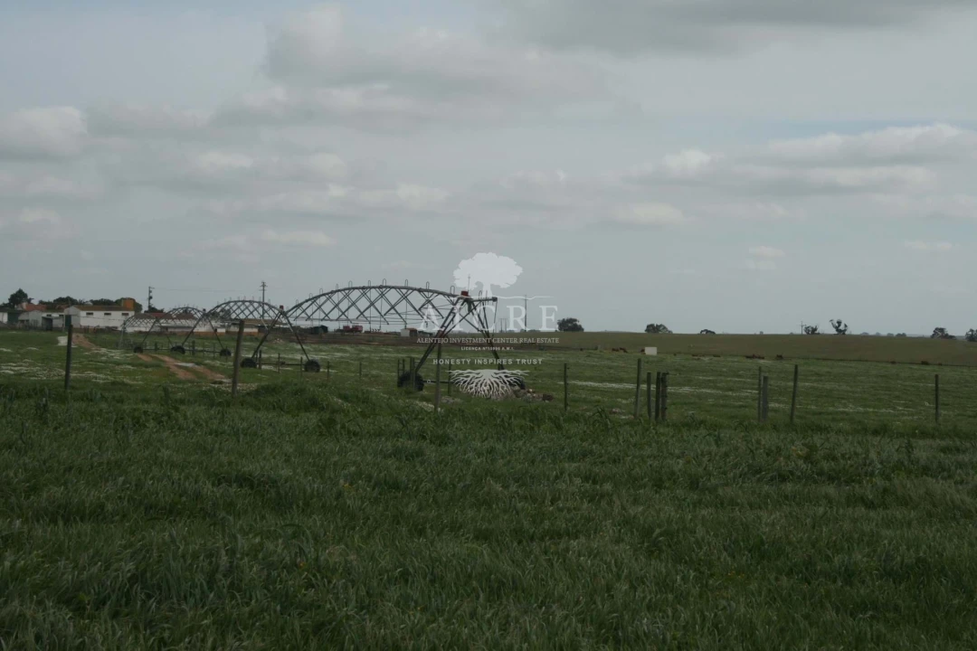 Quinta T3 para Venda em Aljustrel e Rio de Moinhos Foto 13