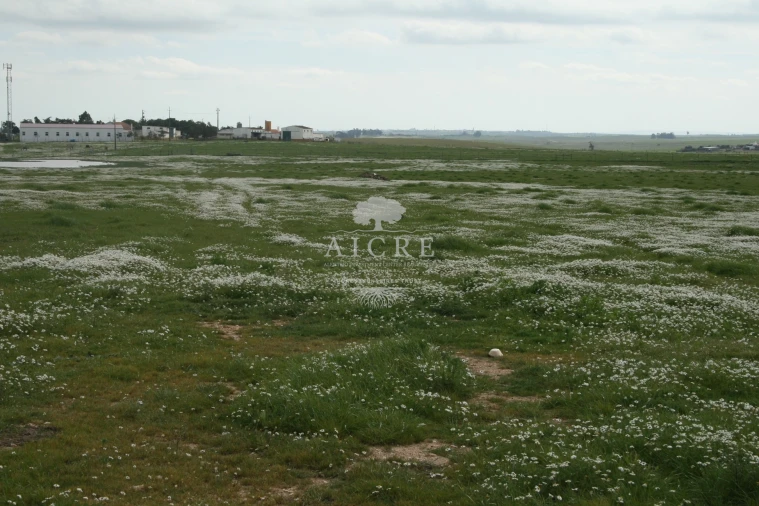 Quinta T3 para Venda em Aljustrel e Rio de Moinhos Foto 10