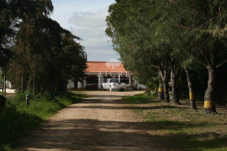 Quinta T3 para Venda em Aljustrel e Rio de Moinhos Foto 2