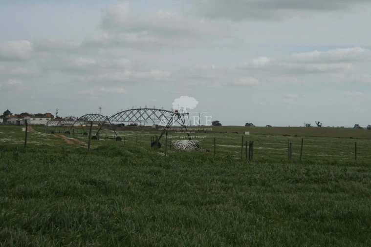 Quinta T3 para Venda em Aljustrel e Rio de Moinhos Foto 13