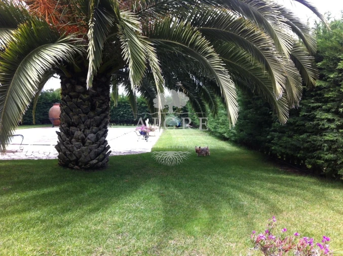 Quinta T3 para Venda em Aljustrel e Rio de Moinhos Foto 7