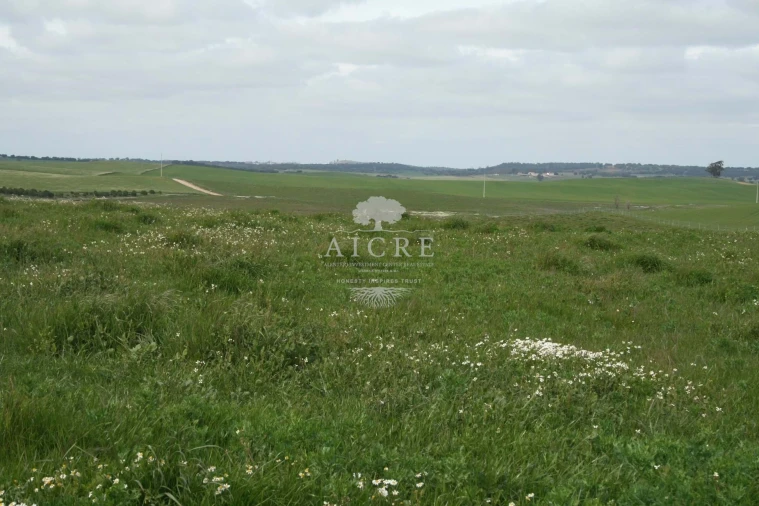 Quinta T3 para Venda em Aljustrel e Rio de Moinhos Foto 9