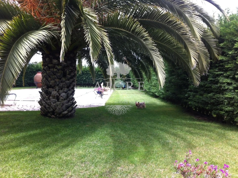 Quinta T3 para Venda em Aljustrel e Rio de Moinhos Foto 7