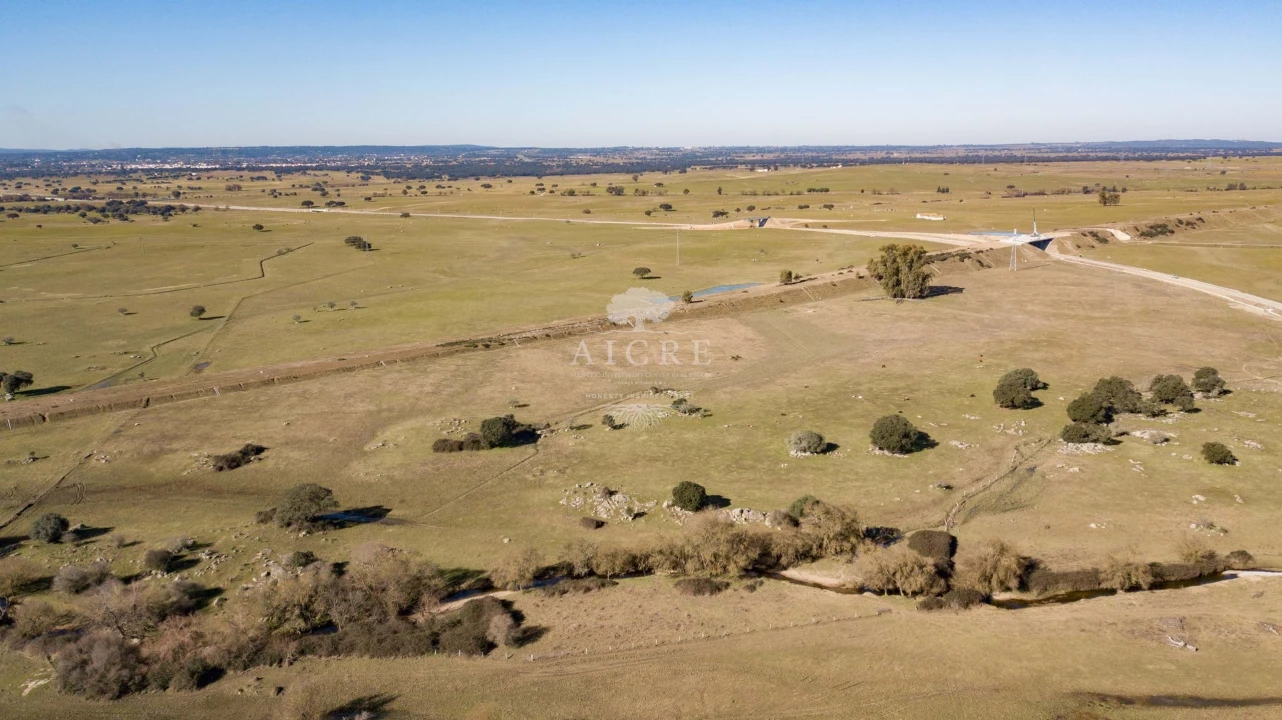 Terreno para Venda em Bacelo e Senhora da Saúde Foto 9