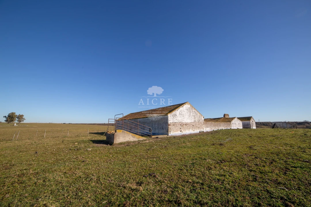 Terreno para Venda em Bacelo e Senhora da Saúde Foto 15