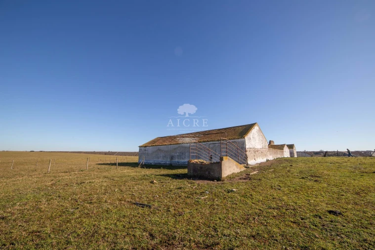 Terreno para Venda em Bacelo e Senhora da Saúde Foto 16
