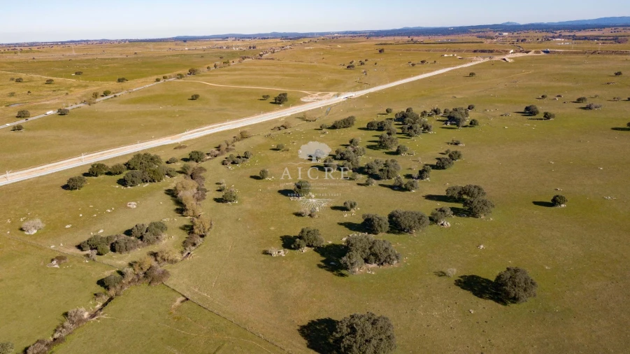 Terreno para Venda em Bacelo e Senhora da Saúde Foto 5
