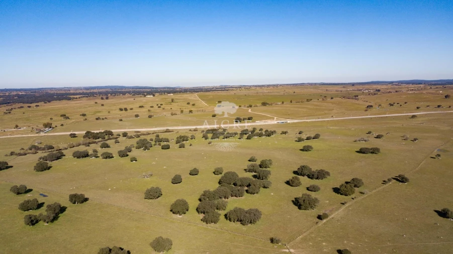 Terreno para Venda em Bacelo e Senhora da Saúde Foto 4