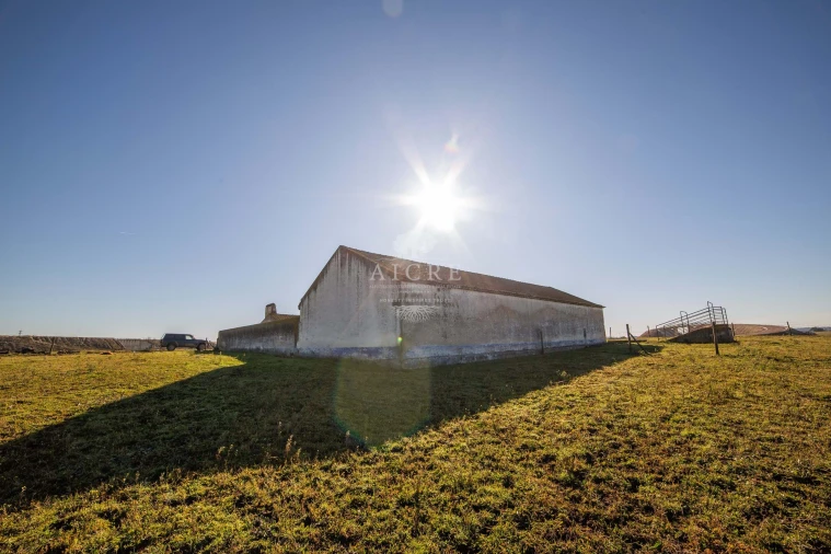 Terreno para Venda em Bacelo e Senhora da Saúde Foto 17