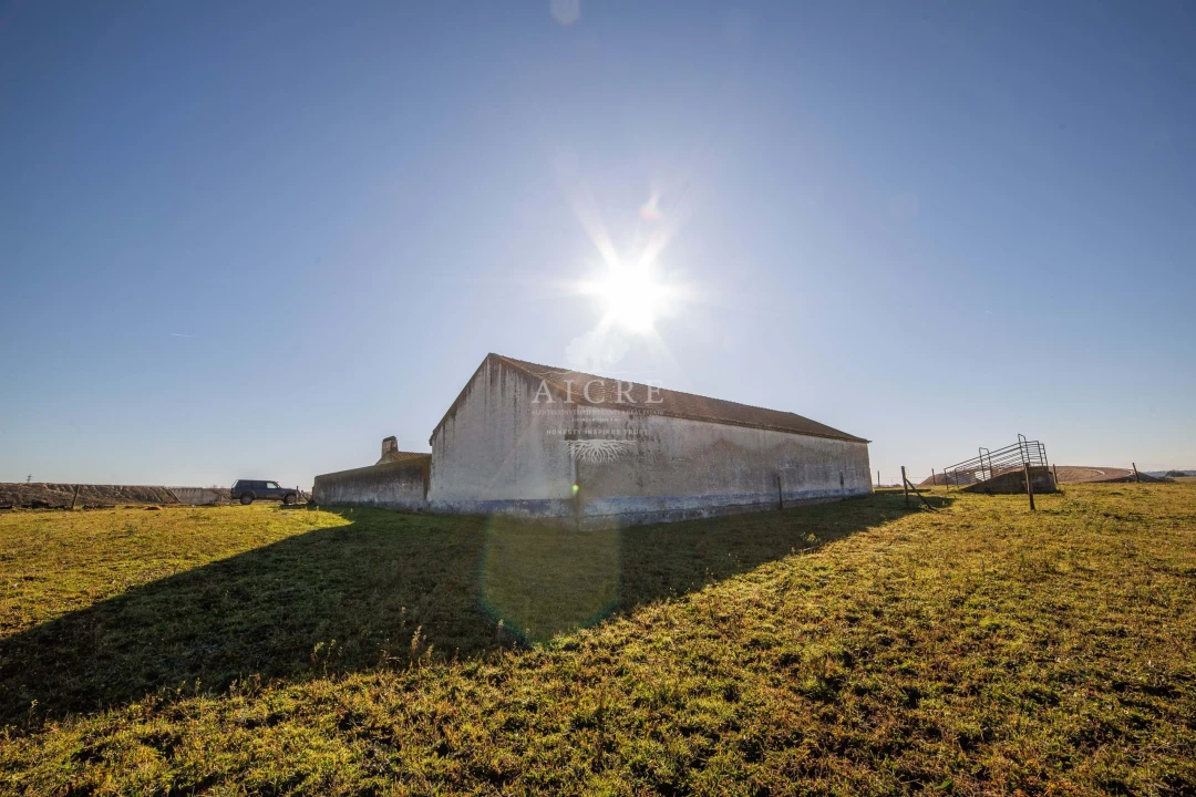 Terreno para Venda em Bacelo e Senhora da Saúde Foto 17