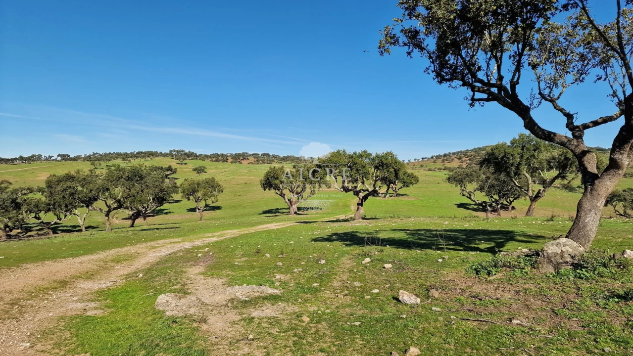 Terreno para Venda em Reguengos de Monsaraz Foto 24