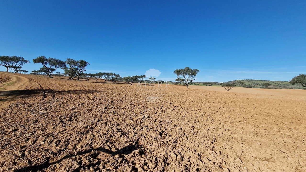 Terreno para Venda em Reguengos de Monsaraz Foto 8