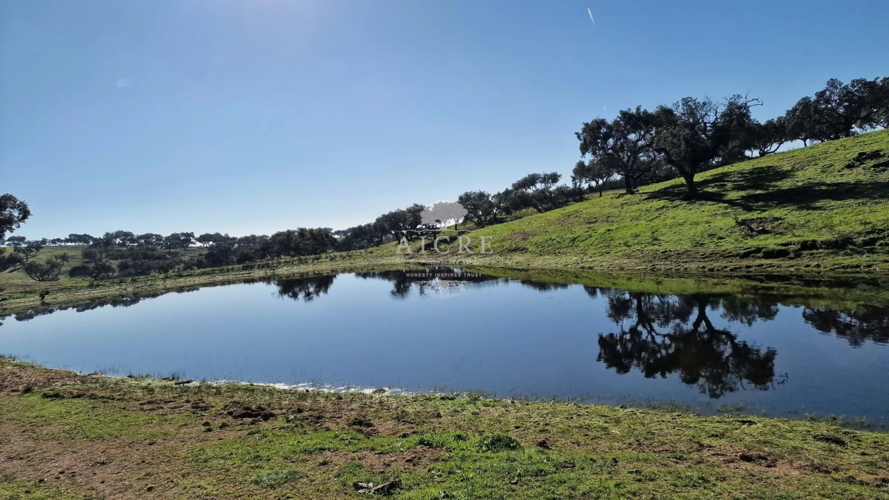 Terreno para Venda em Reguengos de Monsaraz Foto 30