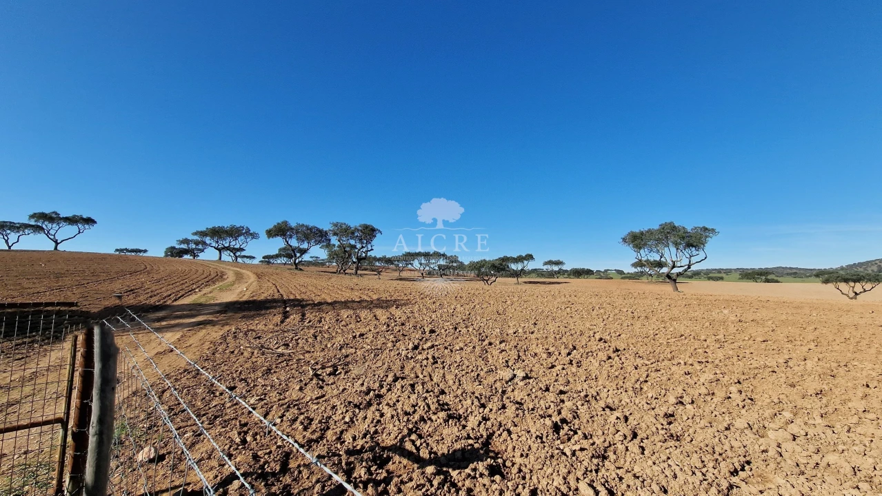 Terreno para Venda em Reguengos de Monsaraz Foto 10