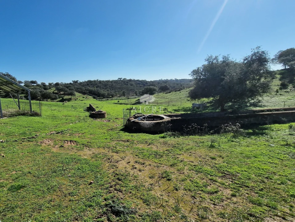 Terreno para Venda em Reguengos de Monsaraz Foto 62