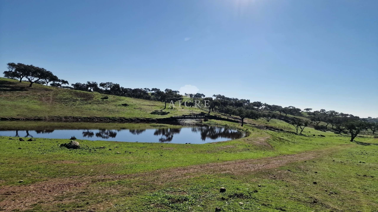 Terreno para Venda em Reguengos de Monsaraz Foto 31
