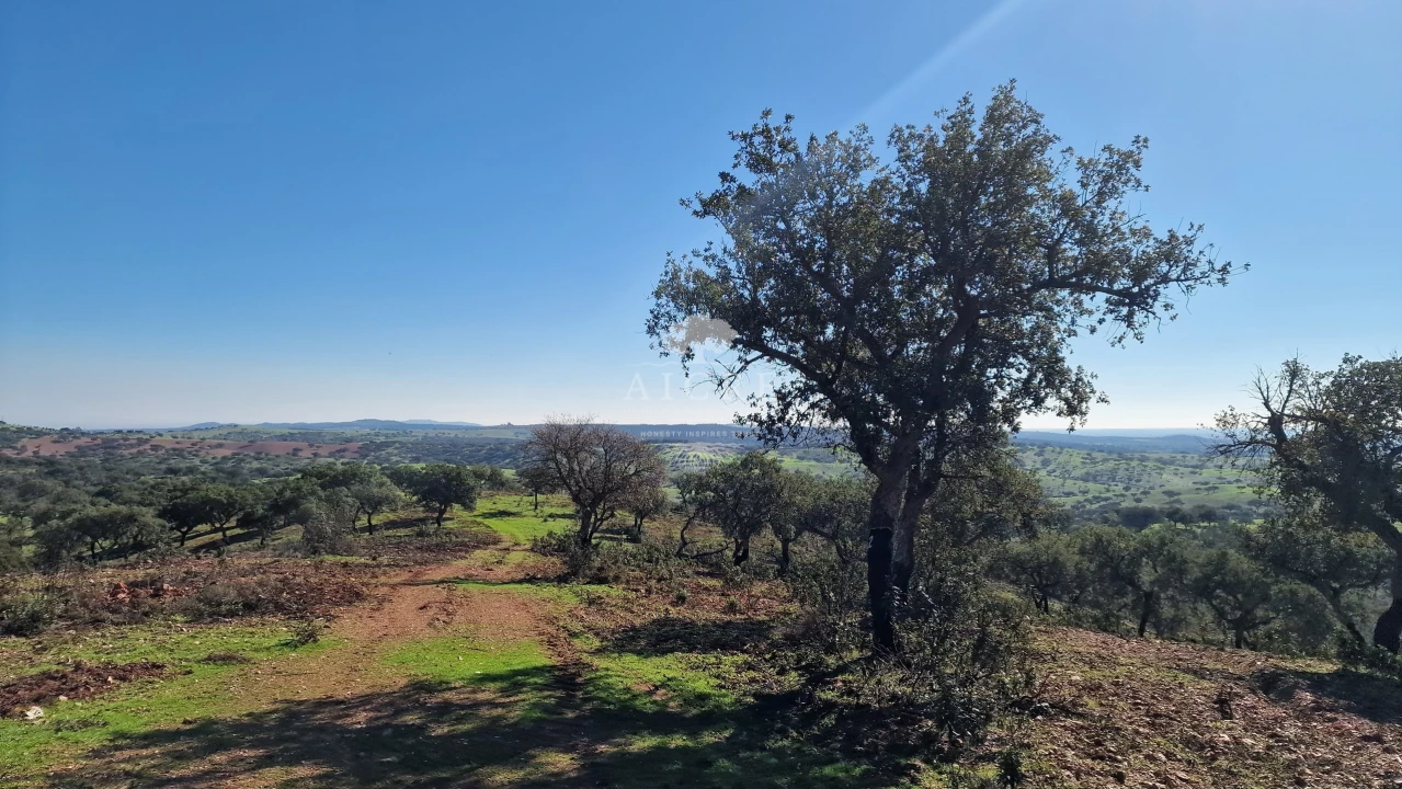 Terreno para Venda em Reguengos de Monsaraz Foto 46