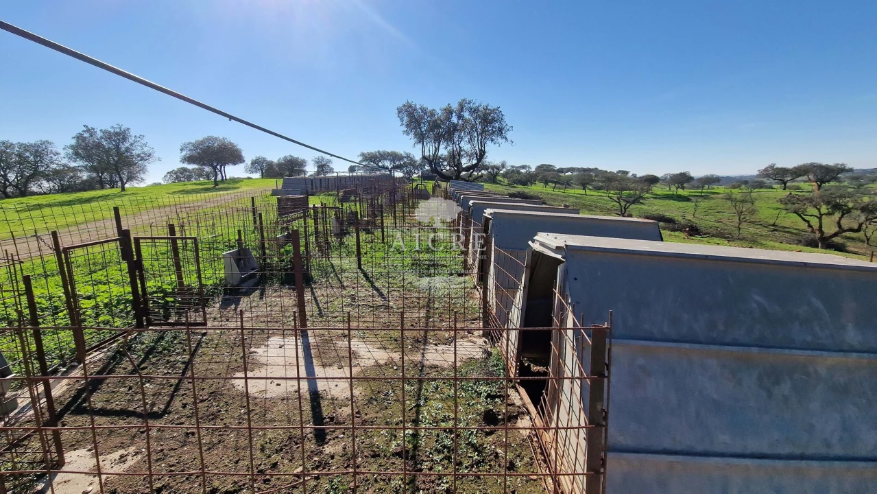 Terreno para Venda em Reguengos de Monsaraz Foto 54