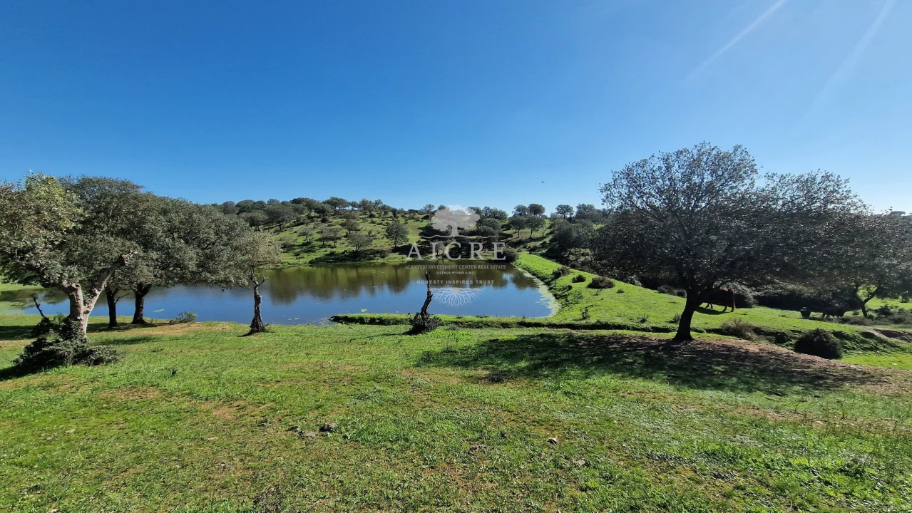 Terreno para Venda em Reguengos de Monsaraz Foto 65