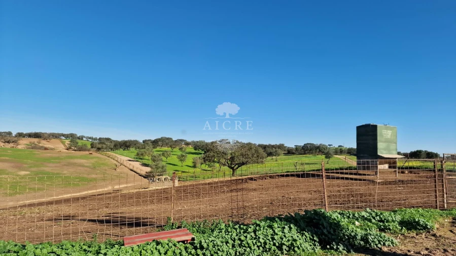 Terreno para Venda em Reguengos de Monsaraz Foto 6
