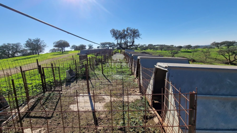 Terreno para Venda em Reguengos de Monsaraz Foto 55