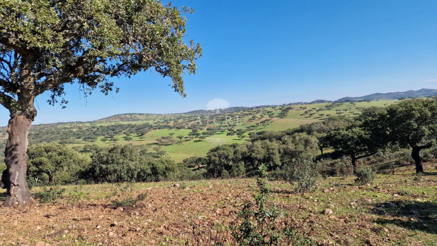 Terreno para Venda em Reguengos de Monsaraz Foto 37