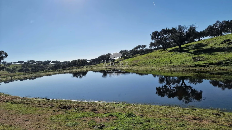 Terreno para Venda em Reguengos de Monsaraz Foto 30