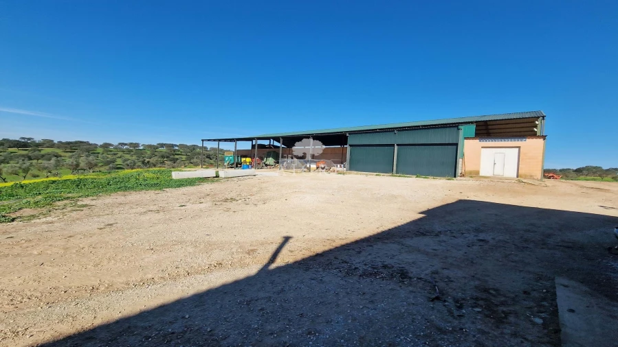 Terreno para Venda em Reguengos de Monsaraz Foto 3
