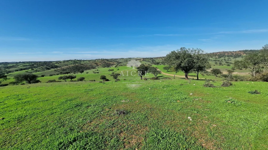 Terreno para Venda em Reguengos de Monsaraz Foto 60