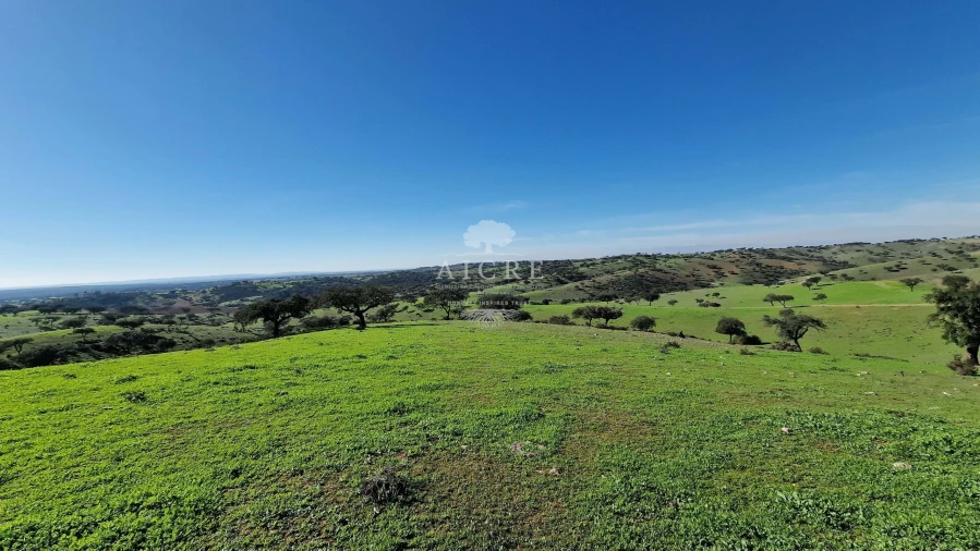 Terreno para Venda em Reguengos de Monsaraz Foto 59