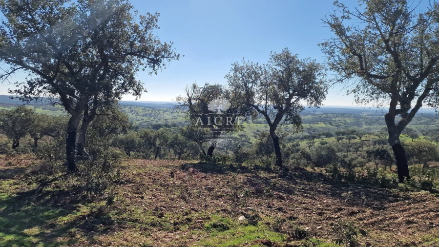 Terreno para Venda em Reguengos de Monsaraz Foto 45
