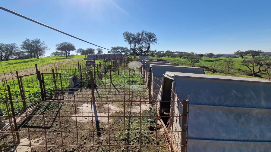 Terreno para Venda em Reguengos de Monsaraz Foto 54