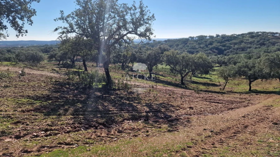 Terreno para Venda em Reguengos de Monsaraz Foto 44